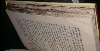 收藏的圖書為什么會發(fā)霉？圖書的防霉措施！