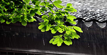 防霉劑廠家告訴你多雨季節(jié)如何防霉防潮！