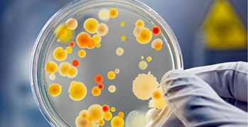 微生物活動會造成哪些影響？防霉劑廠家為你解答！