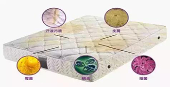 防霉劑廠家為你解答床墊細(xì)菌多不多？