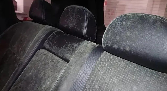 汽車(chē)內(nèi)飾發(fā)霉是什么原因？該怎么辦?
