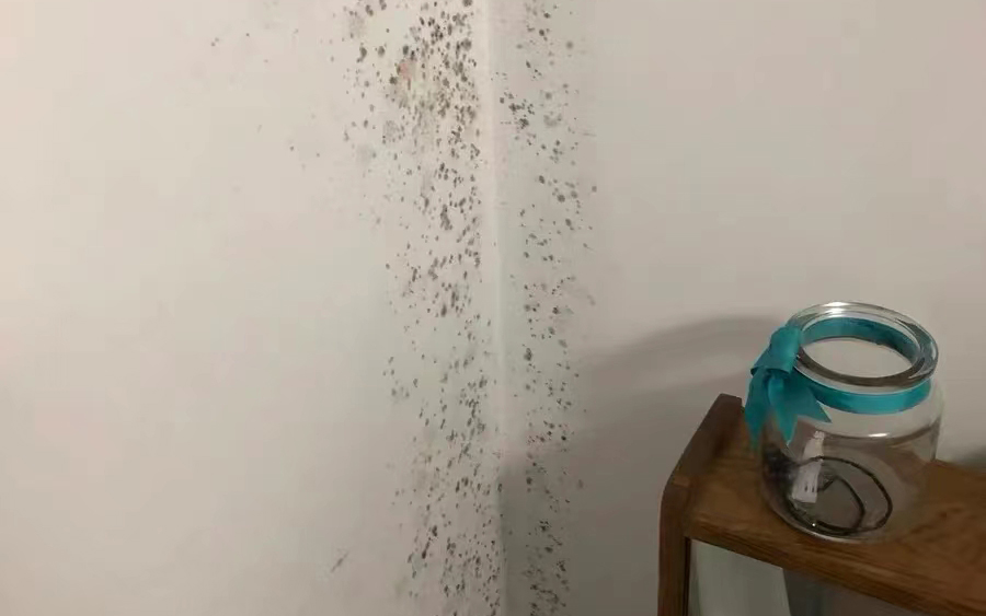 墻面發(fā)霉怎么處理？教你一招自己在家就能解決