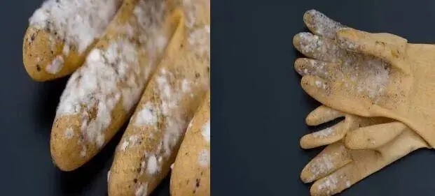 塑膠手套發(fā)霉了怎么辦？工廠(chǎng)必看塑膠手套防霉方案！